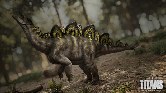 "Ampman" Stegosaurus